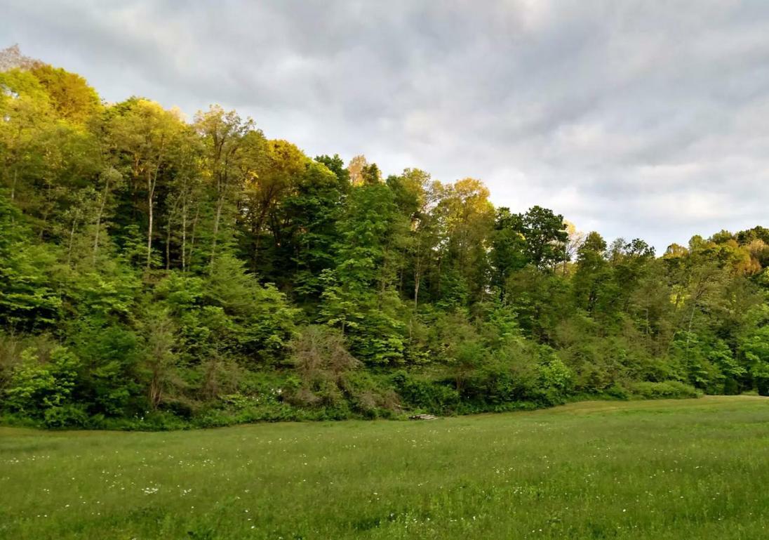 Altenbrauch Farm - Camping In The Hocking Hills Stella Buitenkant foto